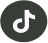 tiktok icon